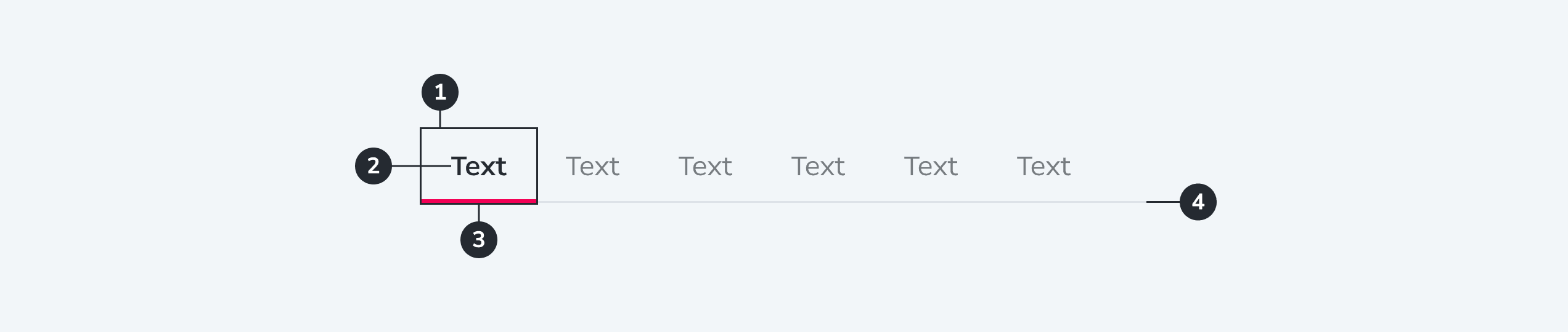 Tabs anatomy