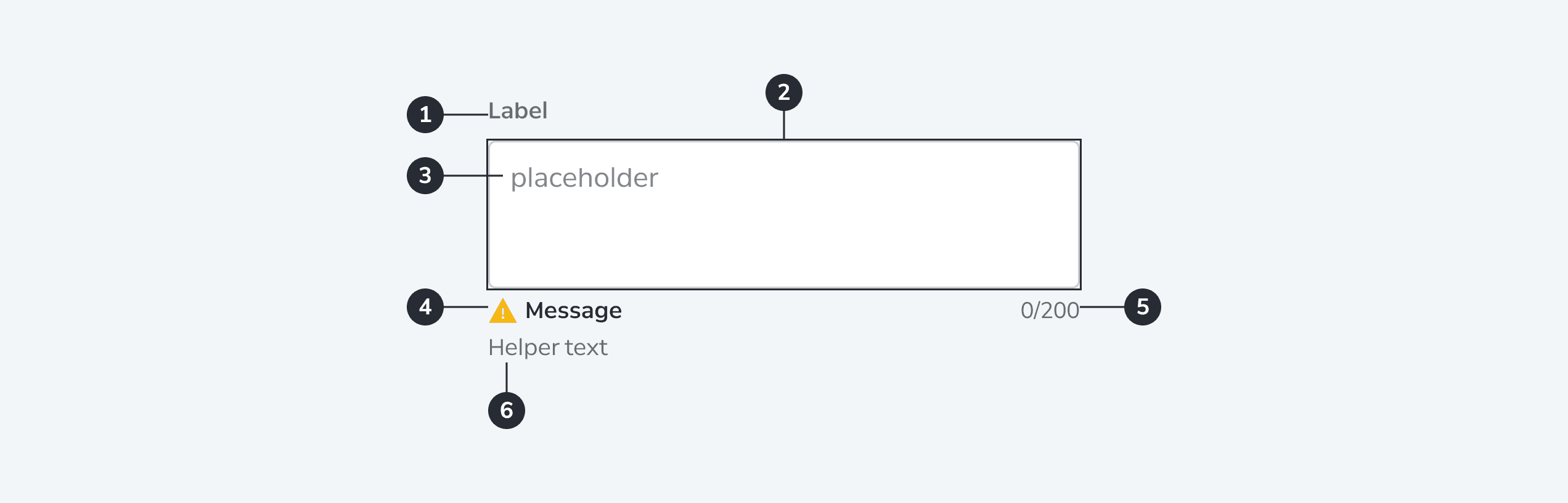 Text Area anatomy