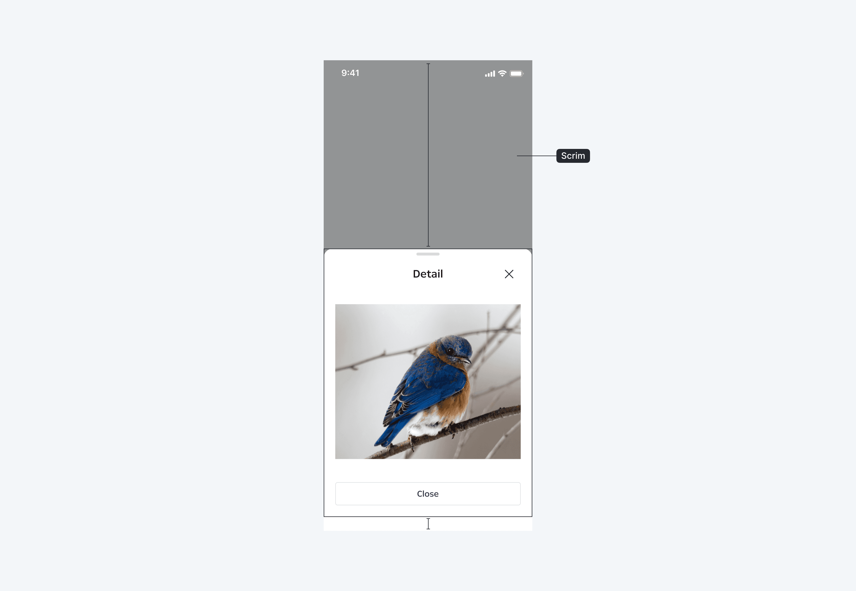 Bottom Sheet Layout Placement