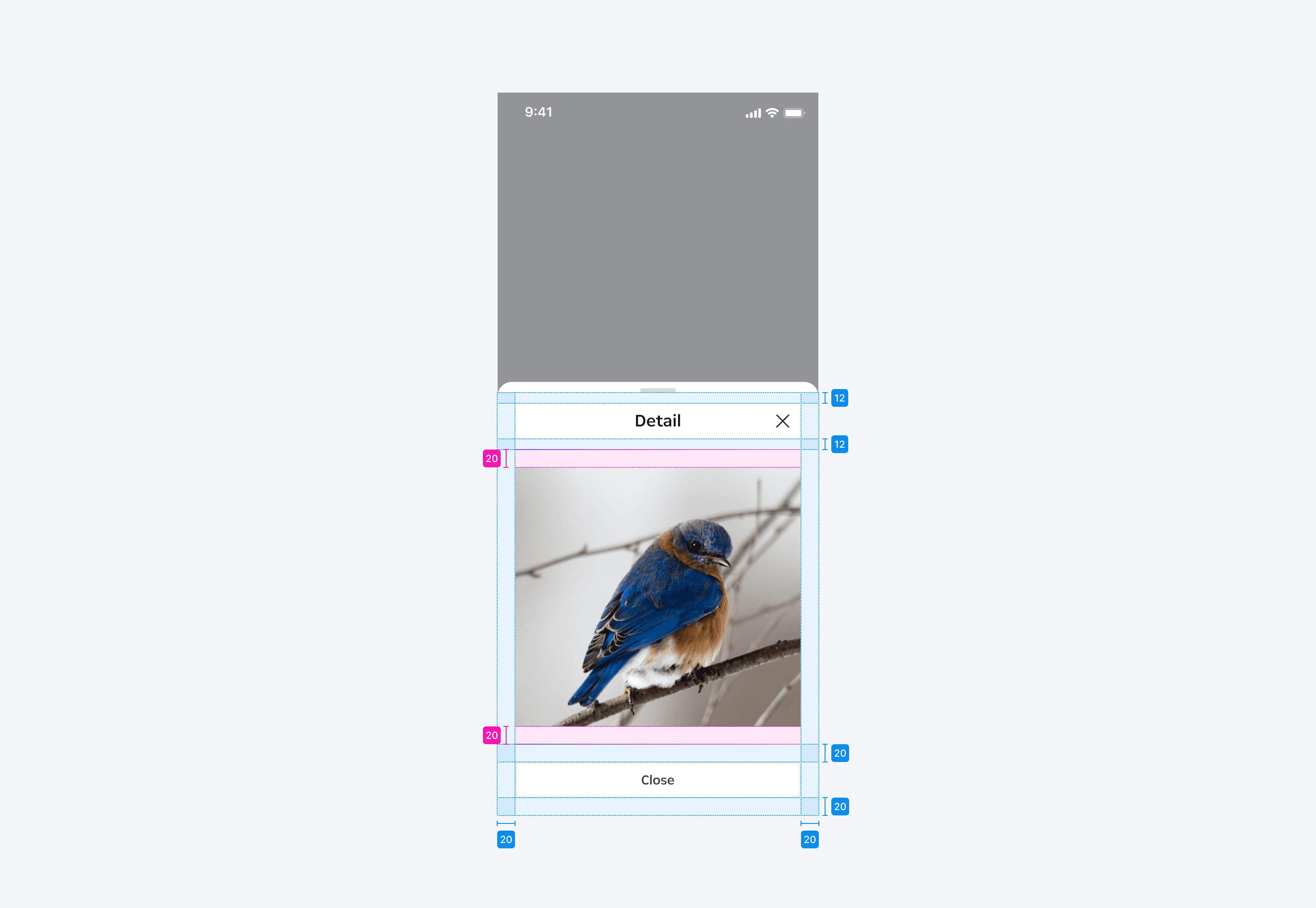 Bottom Sheet Layout Spacing